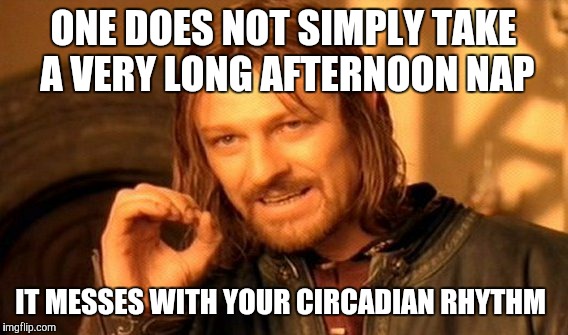One Does Not Simply | ONE DOES NOT SIMPLY TAKE A VERY LONG AFTERNOON NAP; IT MESSES WITH YOUR CIRCADIAN RHYTHM | image tagged in memes,one does not simply | made w/ Imgflip meme maker