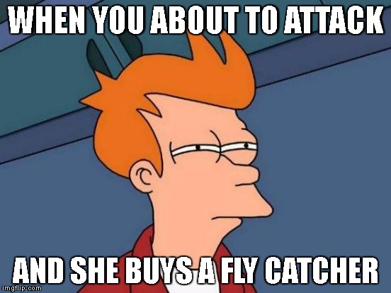 Futurama Fry Meme | WHEN YOU ABOUT TO ATTACK; AND SHE BUYS A FLY CATCHER | image tagged in memes,futurama fry | made w/ Imgflip meme maker