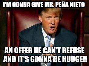 Donald Trump | I'M GONNA GIVE MR. PEÑA NIETO; AN OFFER HE CAN'T REFUSE AND IT'S GONNA BE HUUGE!! | image tagged in donald trump | made w/ Imgflip meme maker