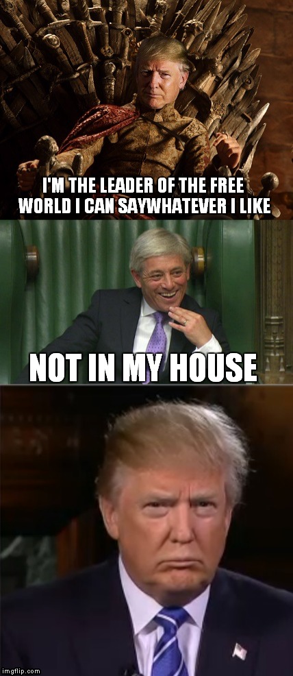 Bercow Troll  | I'M THE LEADER OF THE FREE WORLD I CAN SAYWHATEVER I LIKE; NOT IN MY HOUSE | image tagged in donald trump,memes,troll,politics lol,political meme | made w/ Imgflip meme maker