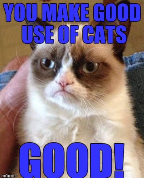 Grumpy Cat Meme | YOU MAKE GOOD USE OF CATS GOOD! | image tagged in memes,grumpy cat | made w/ Imgflip meme maker