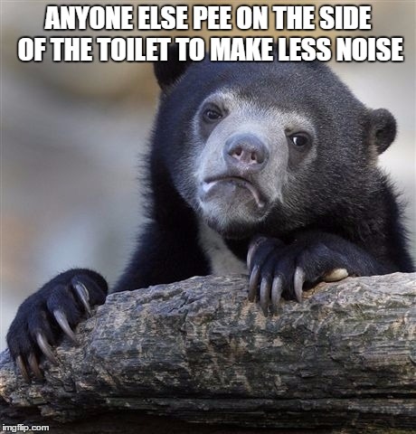 Confession Bear | ANYONE ELSE PEE ON THE SIDE OF THE TOILET TO MAKE LESS NOISE | image tagged in memes,confession bear | made w/ Imgflip meme maker