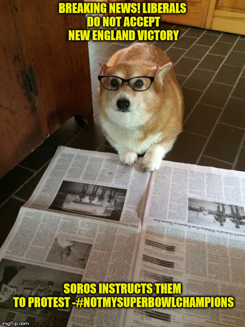 Newspaper Dog | BREAKING NEWS! LIBERALS DO NOT ACCEPT NEW ENGLAND VICTORY; SOROS INSTRUCTS THEM TO PROTEST -#NOTMYSUPERBOWLCHAMPIONS | image tagged in newspaper dog | made w/ Imgflip meme maker