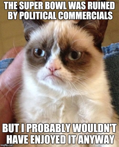 Grumpy Cat | THE SUPER BOWL WAS RUINED BY POLITICAL COMMERCIALS; BUT I PROBABLY WOULDN'T HAVE ENJOYED IT ANYWAY | image tagged in memes,grumpy cat | made w/ Imgflip meme maker
