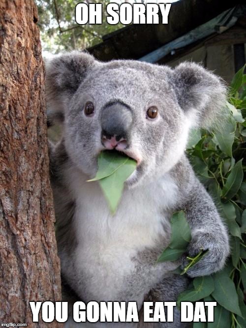 Surprised Koala Meme | OH SORRY; YOU GONNA EAT DAT | image tagged in memes,surprised koala | made w/ Imgflip meme maker