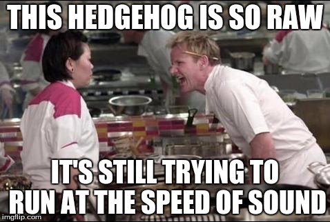 Angry Chef Gordon Ramsay | THIS HEDGEHOG IS SO RAW; IT'S STILL TRYING TO RUN AT THE SPEED OF SOUND | image tagged in memes,angry chef gordon ramsay | made w/ Imgflip meme maker