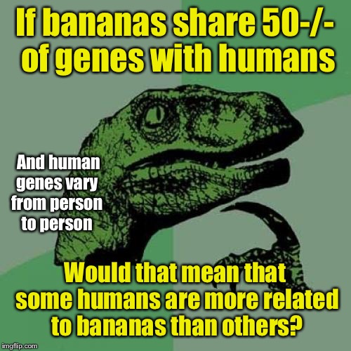 Philosoraptor | If bananas share 50-/- of genes with humans; And human genes vary from person to person; Would that mean that some humans are more related to bananas than others? | image tagged in memes,philosoraptor | made w/ Imgflip meme maker