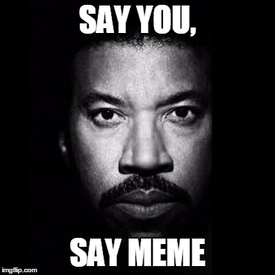Say You, Say Meme, | SAY YOU, SAY MEME | image tagged in meme,say yoy say meme | made w/ Imgflip meme maker