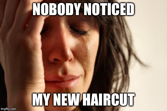 First World Problems Meme |  NOBODY NOTICED; MY NEW HAIRCUT | image tagged in memes,first world problems | made w/ Imgflip meme maker