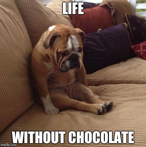 bulldogsad | LIFE; WITHOUT CHOCOLATE | image tagged in bulldogsad | made w/ Imgflip meme maker