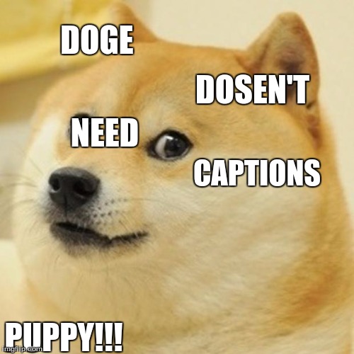 Doge Meme | DOGE; DOSEN'T; NEED; CAPTIONS; PUPPY!!! | image tagged in memes,doge | made w/ Imgflip meme maker
