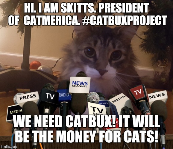 Catmerica President Introduces CatBux! | HI. I AM SKITTS. PRESIDENT OF 
CATMERICA. #CATBUXPROJECT; WE NEED CATBUX! IT WILL BE THE MONEY FOR CATS! | image tagged in memes | made w/ Imgflip meme maker