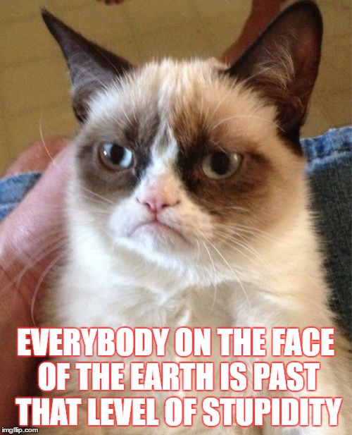 Grumpy Cat Meme | EVERYBODY ON THE FACE OF THE EARTH IS PAST THAT LEVEL OF STUPIDITY | image tagged in memes,grumpy cat | made w/ Imgflip meme maker