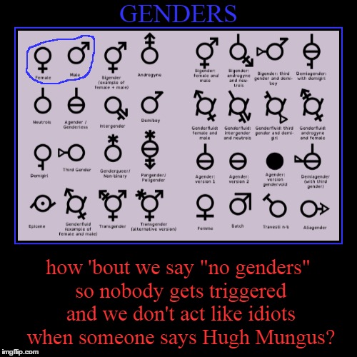 i'm serious! people are going OVERBOARD | GENDERS | how 'bout we say "no genders" so nobody gets triggered and we don't act like idiots when someone says Hugh Mungus? | image tagged in funny,demotivationals | made w/ Imgflip demotivational maker