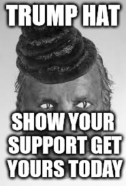 Trump supporters fight back! | TRUMP HAT; SHOW YOUR SUPPORT GET YOURS TODAY | image tagged in donald trump,symbol of our president,united shitheads | made w/ Imgflip meme maker