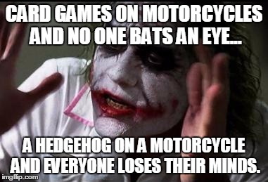 CARD GAMES ON MOTORCYCLES!!!!!!!!!!!!!!!!!!!!!!!!!!!!!!! | CARD GAMES ON MOTORCYCLES AND NO ONE BATS AN EYE... A HEDGEHOG ON A MOTORCYCLE AND EVERYONE LOSES THEIR MINDS. | image tagged in everyone loses their minds | made w/ Imgflip meme maker