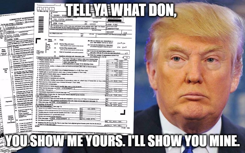 TELL YA WHAT DON, YOU SHOW ME YOURS. I'LL SHOW YOU MINE. | image tagged in 1040trump | made w/ Imgflip meme maker