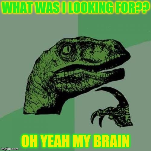 Philosoraptor | WHAT WAS I LOOKING FOR?? OH YEAH MY BRAIN | image tagged in memes,philosoraptor | made w/ Imgflip meme maker