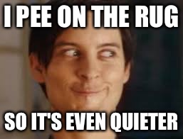 I PEE ON THE RUG SO IT'S EVEN QUIETER | made w/ Imgflip meme maker