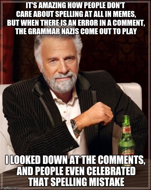 The Most Interesting Man In The World Meme | IT'S AMAZING HOW PEOPLE DON'T CARE ABOUT SPELLING AT ALL IN MEMES, BUT WHEN THERE IS AN ERROR IN A COMMENT, THE GRAMMAR NAZIS COME OUT TO PL | image tagged in memes,the most interesting man in the world | made w/ Imgflip meme maker