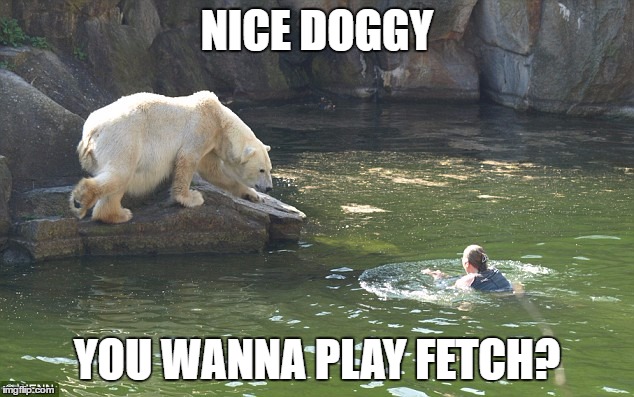 NICE DOGGY YOU WANNA PLAY FETCH? | made w/ Imgflip meme maker