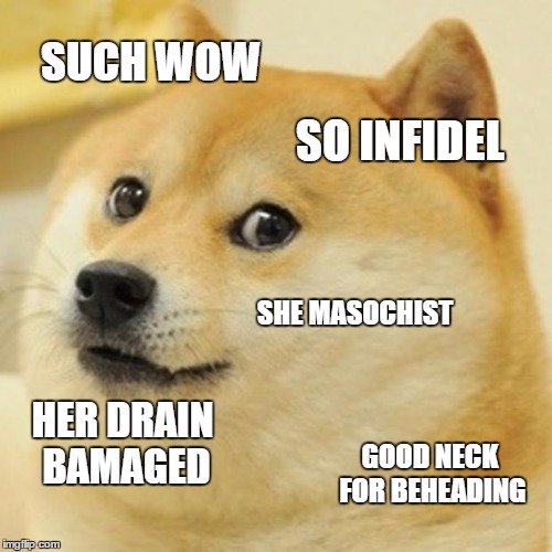 Doge Meme | SUCH WOW SO INFIDEL SHE MASOCHIST HER DRAIN BAMAGED GOOD NECK FOR BEHEADING | image tagged in memes,doge | made w/ Imgflip meme maker