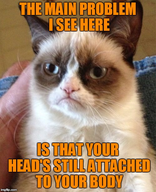 Grumpy Cat Meme | THE MAIN PROBLEM I SEE HERE IS THAT YOUR HEAD'S STILL ATTACHED TO YOUR BODY | image tagged in memes,grumpy cat | made w/ Imgflip meme maker