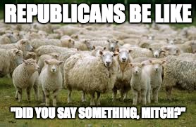REPUBLICANS BE LIKE; "DID YOU SAY SOMETHING, MITCH?" | image tagged in republicans,sheep,senators | made w/ Imgflip meme maker
