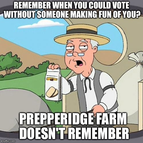 Pepperidge Farm Remembers Meme | REMEMBER WHEN YOU COULD VOTE WITHOUT SOMEONE MAKING FUN OF YOU? PREPPERIDGE FARM DOESN'T REMEMBER | image tagged in memes,pepperidge farm remembers | made w/ Imgflip meme maker