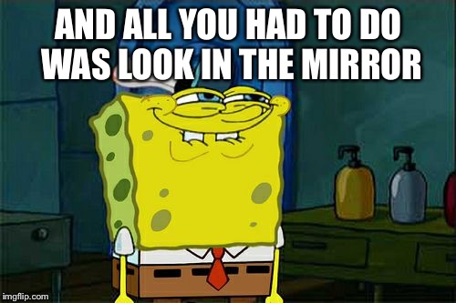 Don't You Squidward Meme | AND ALL YOU HAD TO DO WAS LOOK IN THE MIRROR | image tagged in memes,dont you squidward | made w/ Imgflip meme maker