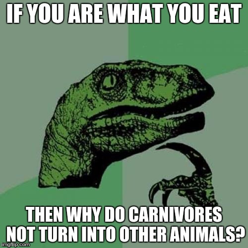 Philosoraptor | IF YOU ARE WHAT YOU EAT; THEN WHY DO CARNIVORES NOT TURN INTO OTHER ANIMALS? | image tagged in memes,philosoraptor | made w/ Imgflip meme maker