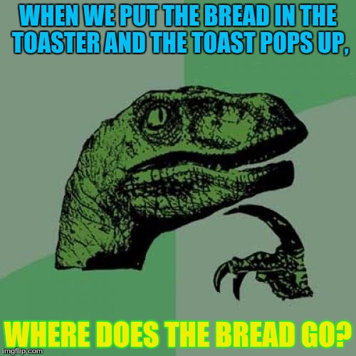Philosoraptor Meme | WHEN WE PUT THE BREAD IN THE TOASTER AND THE TOAST POPS UP, WHERE DOES THE BREAD GO? | image tagged in memes,philosoraptor | made w/ Imgflip meme maker