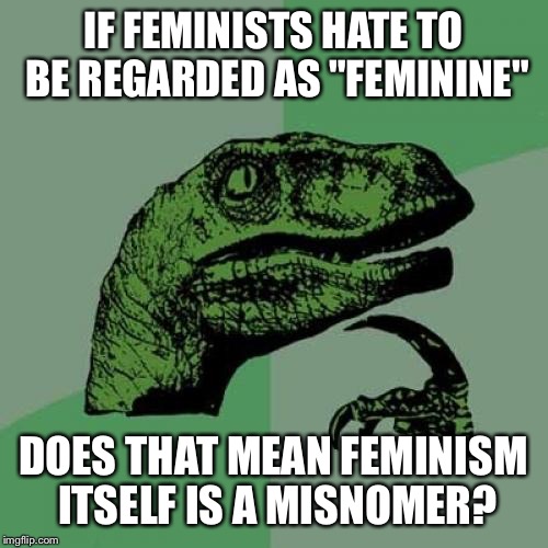 Philosoraptor | IF FEMINISTS HATE TO BE REGARDED AS "FEMININE"; DOES THAT MEAN FEMINISM ITSELF IS A MISNOMER? | image tagged in memes,philosoraptor | made w/ Imgflip meme maker