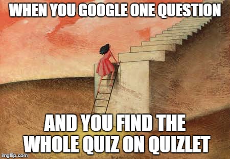 womanstairsart | WHEN YOU GOOGLE ONE QUESTION; AND YOU FIND THE WHOLE QUIZ ON QUIZLET | image tagged in womanstairsart | made w/ Imgflip meme maker