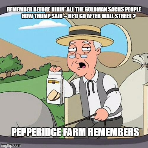 Pepperidge Farms | REMEMBER BEFORE HIRIN' ALL THE GOLDMAN SACHS PEOPLE         HOW TRUMP SAID -- HE'D GO AFTER WALL STREET ? PEPPERIDGE FARM REMEMBERS | image tagged in pepperidge farms | made w/ Imgflip meme maker