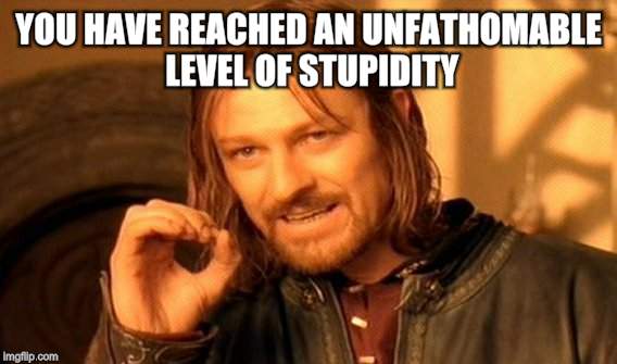One Does Not Simply Meme | YOU HAVE REACHED AN UNFATHOMABLE LEVEL OF STUPIDITY | image tagged in memes,one does not simply | made w/ Imgflip meme maker