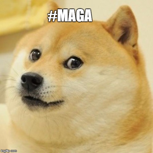 Doge Meme | #MAGA | image tagged in memes,doge | made w/ Imgflip meme maker