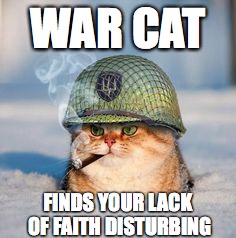 War cat  | WAR CAT; FINDS YOUR LACK OF FAITH DISTURBING | image tagged in war cat | made w/ Imgflip meme maker