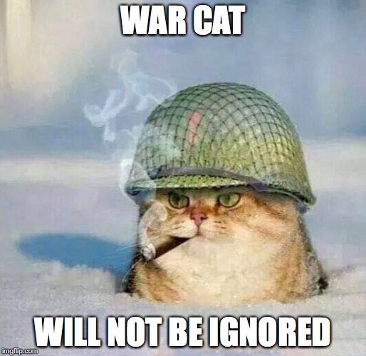 War Cat | WAR CAT; WILL NOT BE IGNORED | image tagged in war cat | made w/ Imgflip meme maker