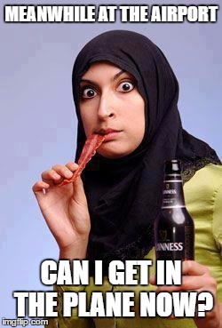 Surprised Muslim Lady | MEANWHILE AT THE AIRPORT; CAN I GET IN THE PLANE NOW? | image tagged in surprised muslim lady | made w/ Imgflip meme maker