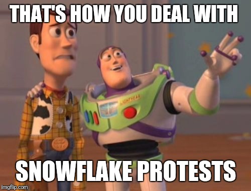X, X Everywhere Meme | THAT'S HOW YOU DEAL WITH SNOWFLAKE PROTESTS | image tagged in memes,x x everywhere | made w/ Imgflip meme maker
