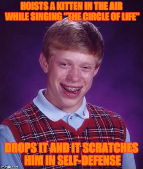 Bad Luck Brian Meme | HOISTS A KITTEN IN THE AIR WHILE SINGING "THE CIRCLE OF LIFE" DROPS IT AND IT SCRATCHES HIM IN SELF-DEFENSE | image tagged in memes,bad luck brian | made w/ Imgflip meme maker