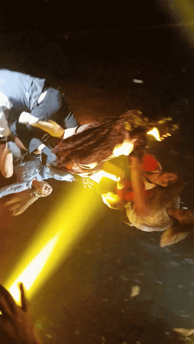 Fuerza Bruta | image tagged in gifs | made w/ Imgflip video-to-gif maker