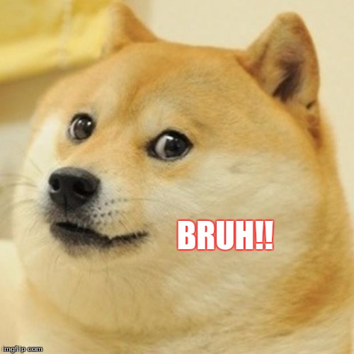 Doge | BRUH!! | image tagged in memes,doge | made w/ Imgflip meme maker