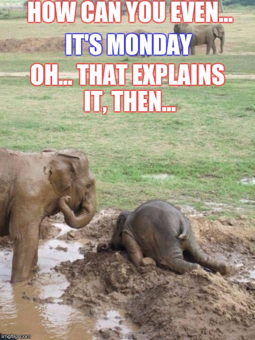 Monday Elephant | HOW CAN YOU EVEN... IT'S MONDAY; OH... THAT EXPLAINS IT, THEN... | image tagged in monday elephant | made w/ Imgflip meme maker