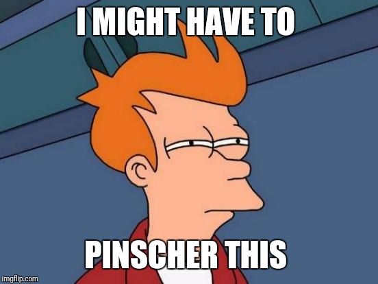 Futurama Fry Meme | I MIGHT HAVE TO PINSCHER THIS | image tagged in memes,futurama fry | made w/ Imgflip meme maker