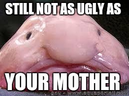 Blobfish | STILL NOT AS UGLY AS; YOUR MOTHER | image tagged in blobfish | made w/ Imgflip meme maker