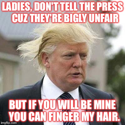 Donald Trump | LADIES, DON'T TELL THE PRESS  
CUZ THEY'RE BIGLY UNFAIR; BUT IF YOU WILL BE MINE  
YOU CAN FINGER MY HAIR. | image tagged in donald trump | made w/ Imgflip meme maker