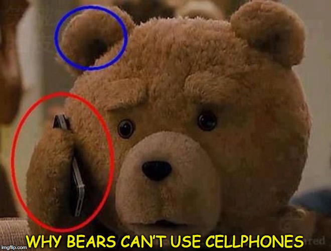 It’s not just the reception | WHY BEARS CAN’T USE CELLPHONES | image tagged in bear,cellphone | made w/ Imgflip meme maker