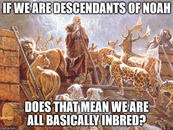 Noah's Ark | IF WE ARE DESCENDANTS OF NOAH; DOES THAT MEAN WE ARE ALL BASICALLY INBRED? | image tagged in noah's ark | made w/ Imgflip meme maker